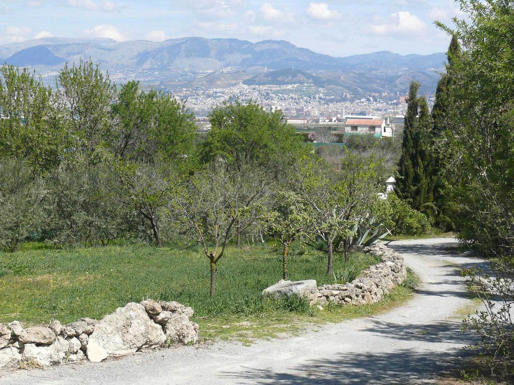 Pensjonat Cortijo Algabia Alhendín Zewnętrze zdjęcie